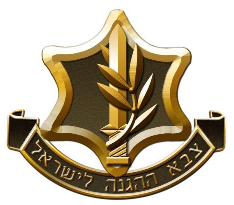 מכללות צה"ל