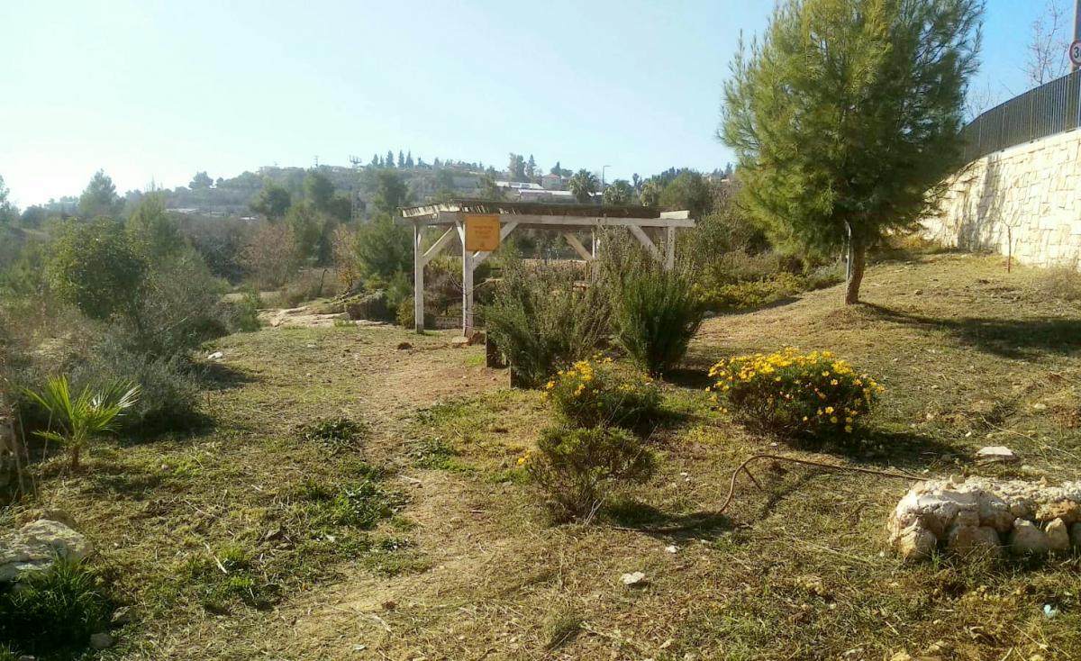 גן המקווה החשמונאי