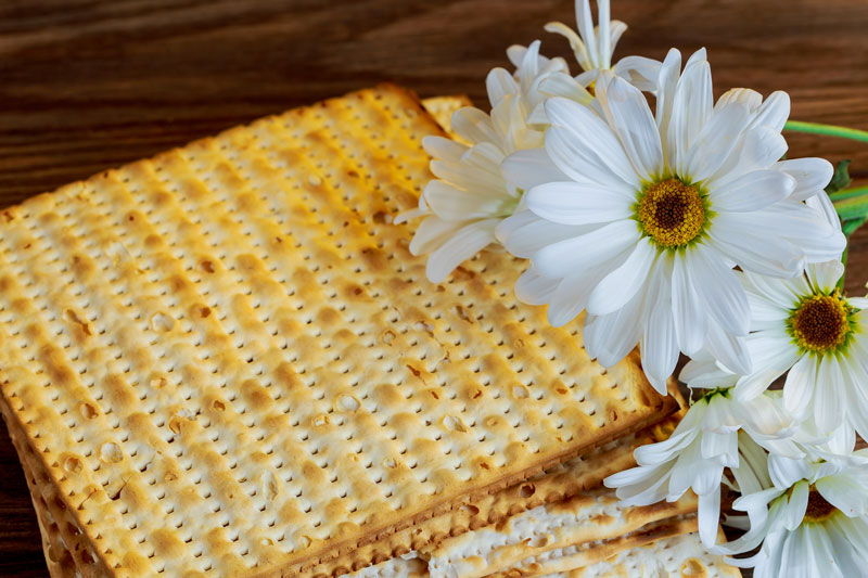  מצה בשכונה
